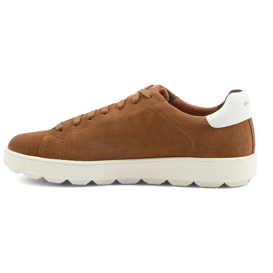 GEOX Spherica Low Top Sneaker  