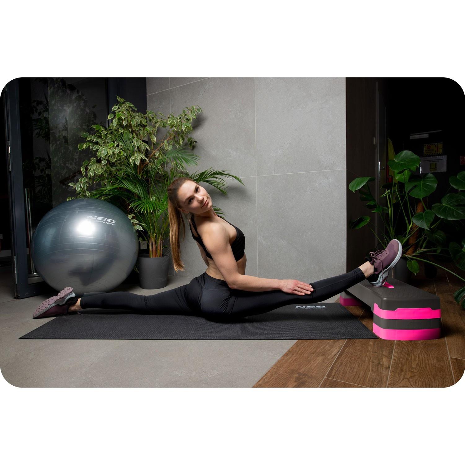 B2X  Esercizio passo 3 passi NS-400 rosa 