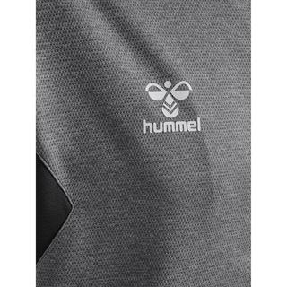 Hummel  vete de urvêtement à capuche zippé polyeter authentic 