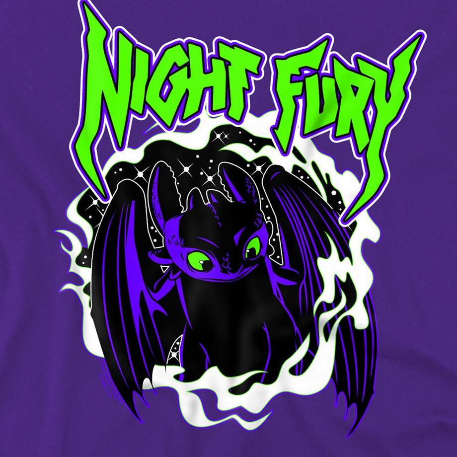 DRAGONS  Night Fury T-Shirt 