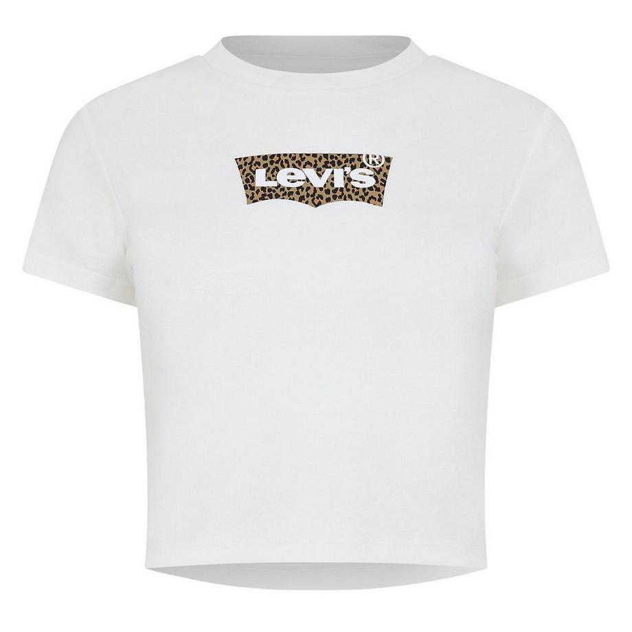 T-Shirt, Kastig