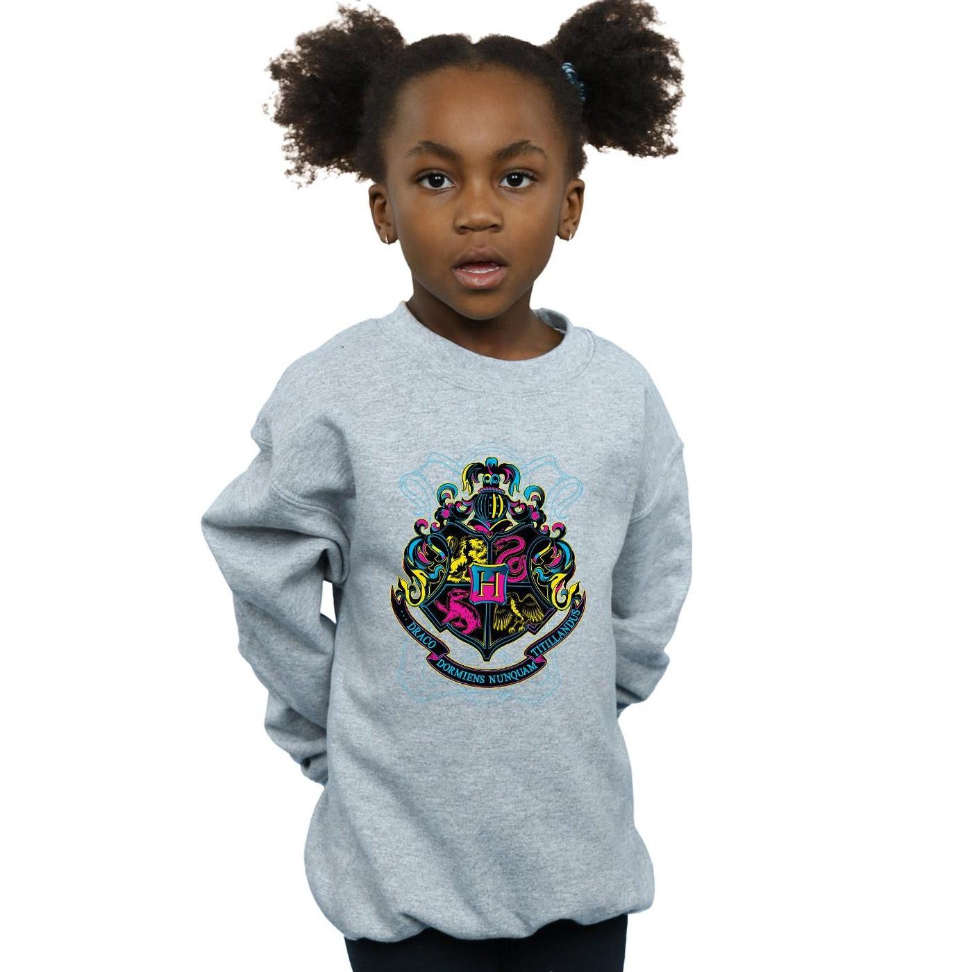 Harry Potter  Hogwarts Sweatshirt 