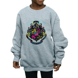Harry Potter  Hogwarts Sweatshirt 
