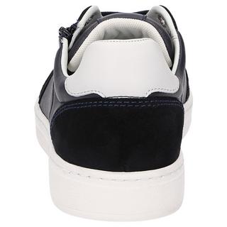 Sioux  Sneaker Tertulio-700-H 