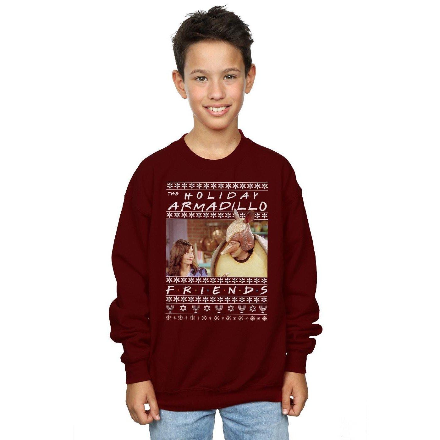 Friends  Holiday Armadillo Sweatshirt 