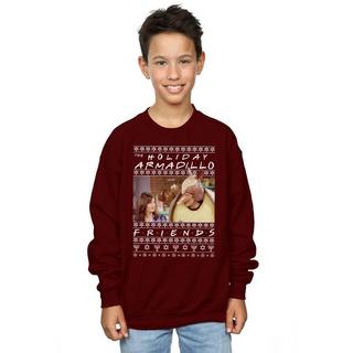 Friends  Holiday Armadillo Sweatshirt 