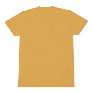 Alice In Chains Seattle 1987 T-Shirt  