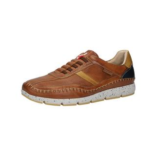 Pikolinos  Sneaker M4U-6046C1 