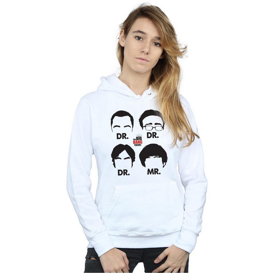 The Big Bang Theory Doctors And Mr Kapuzenpullover  