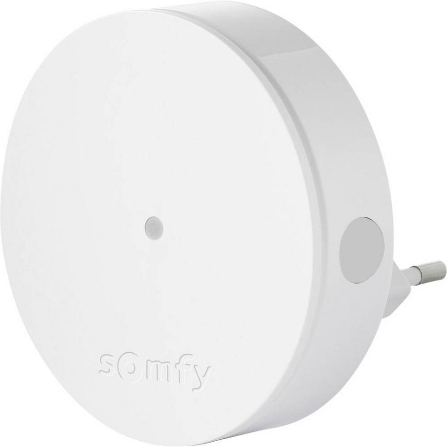 Somfy  Relais radio pour alarme 