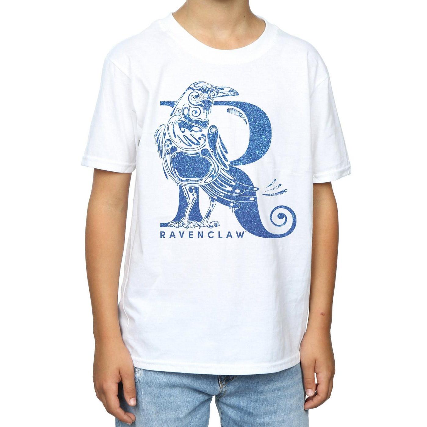 Harry Potter  Ravenclaw TShirt 