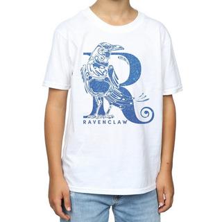 Harry Potter  Ravenclaw TShirt 