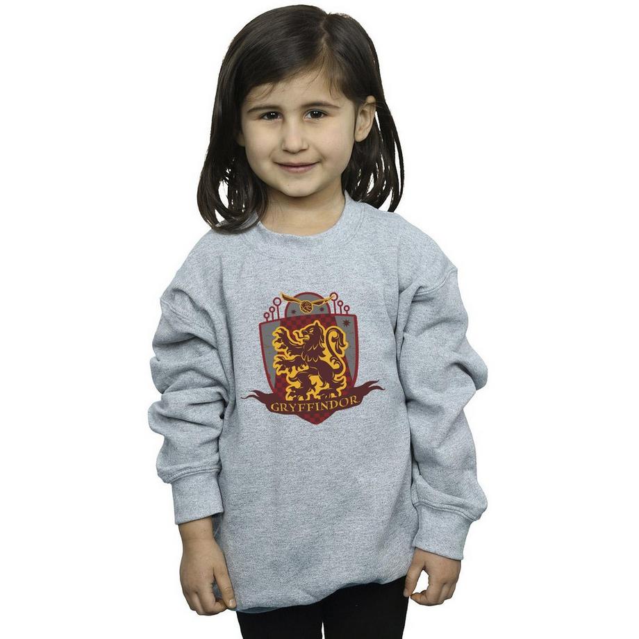 Harry Potter  Gryffindor Sweatshirt 