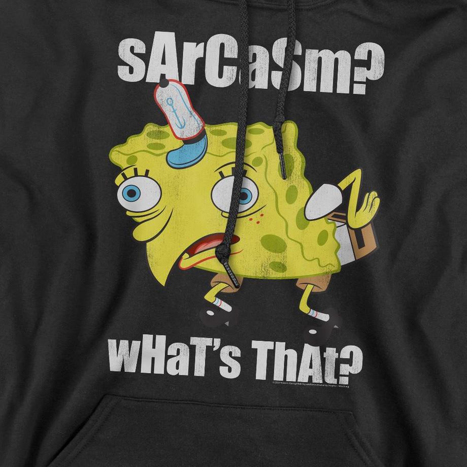 Nickelodeon Sweat À Capuche Sarcasm Meme  