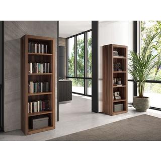 ANGEL CERDA Holzregal aus Nussbaum  