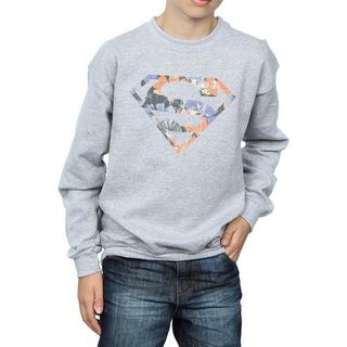 DC COMICS  Sweatshirt 