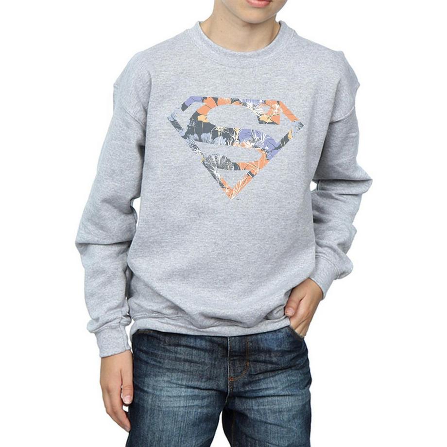 DC COMICS  Sweatshirt 