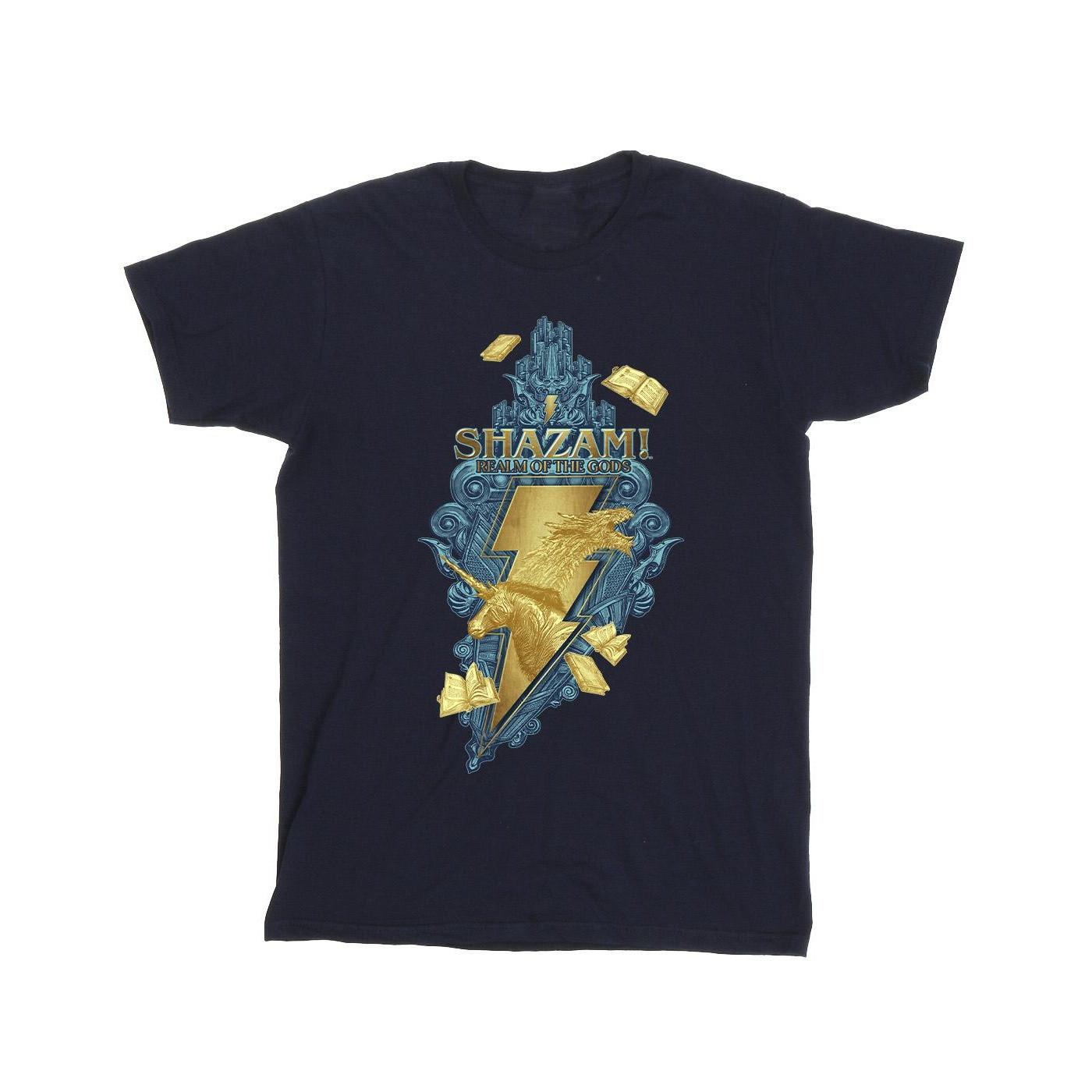 DC COMICS  Fury Of The Gods TShirt 