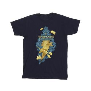 DC COMICS  Fury Of The Gods TShirt 