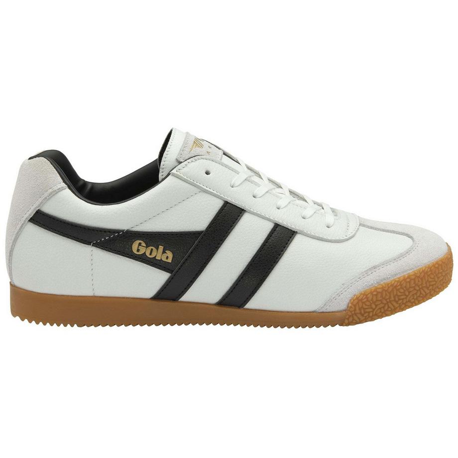 Scarpe da basket in pelle harrier