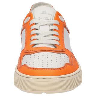 Sioux  Sneaker Tedroso-DA-700 