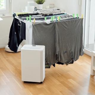 ecofort ecoQ DryAir 20L Essential  