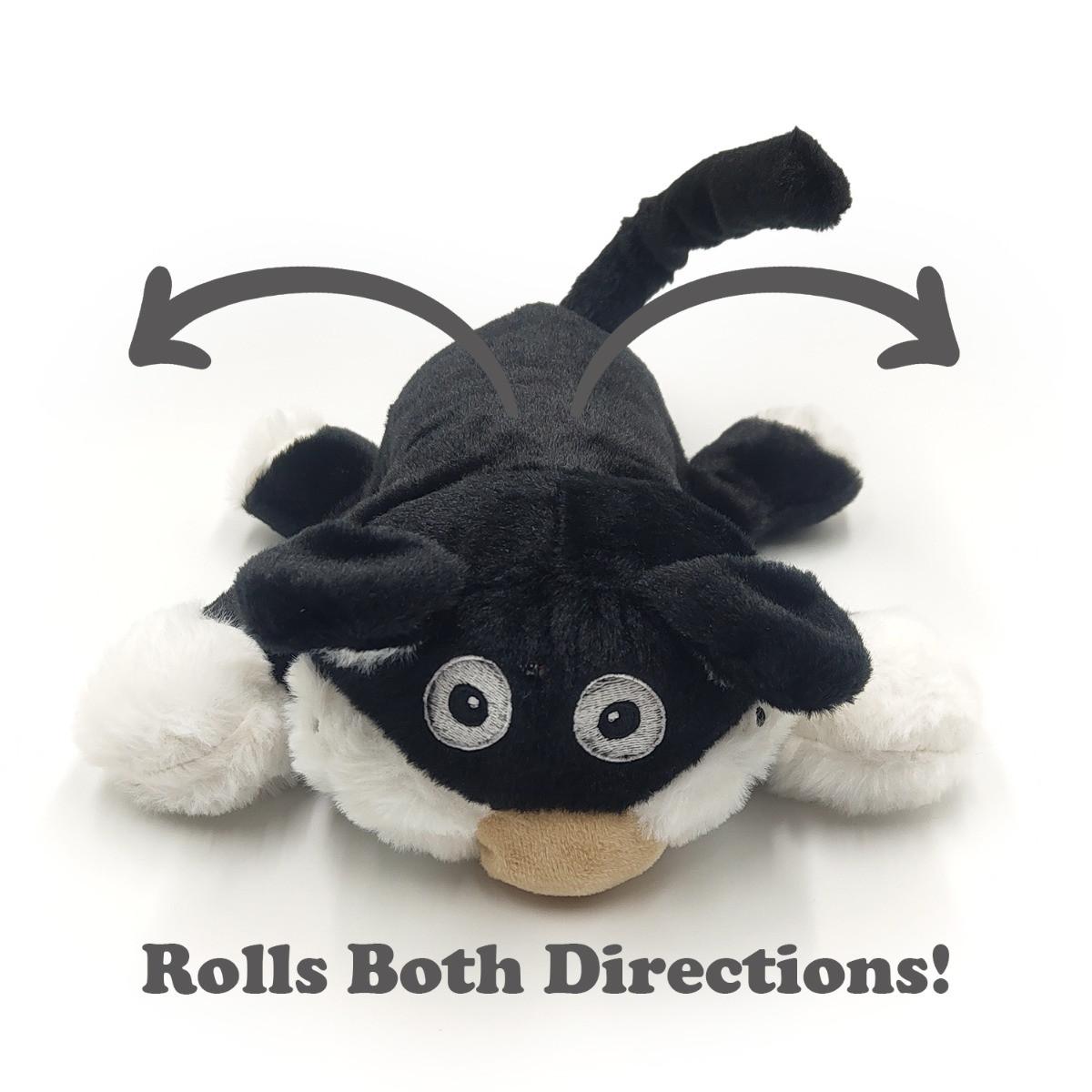 Mad Monkey  Chuckle Buddie Katze 