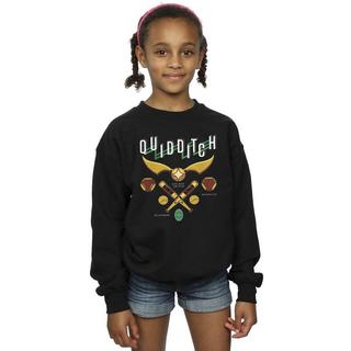 Harry Potter  Quidditch Bludgers Quaffles Sweatshirt 