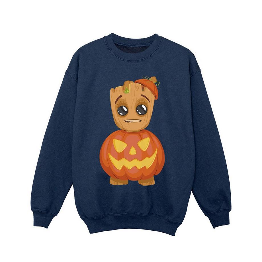 Sweat motifs Groot et citrouille