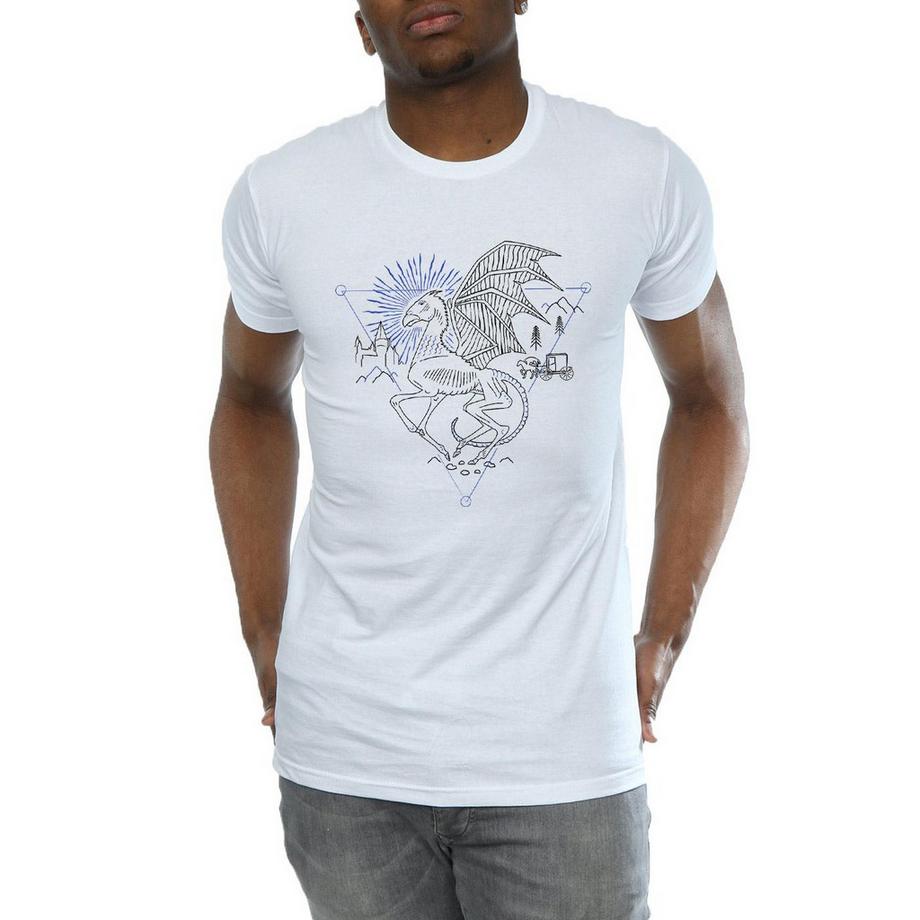 Harry Potter Thestral Sketch T-Shirt  