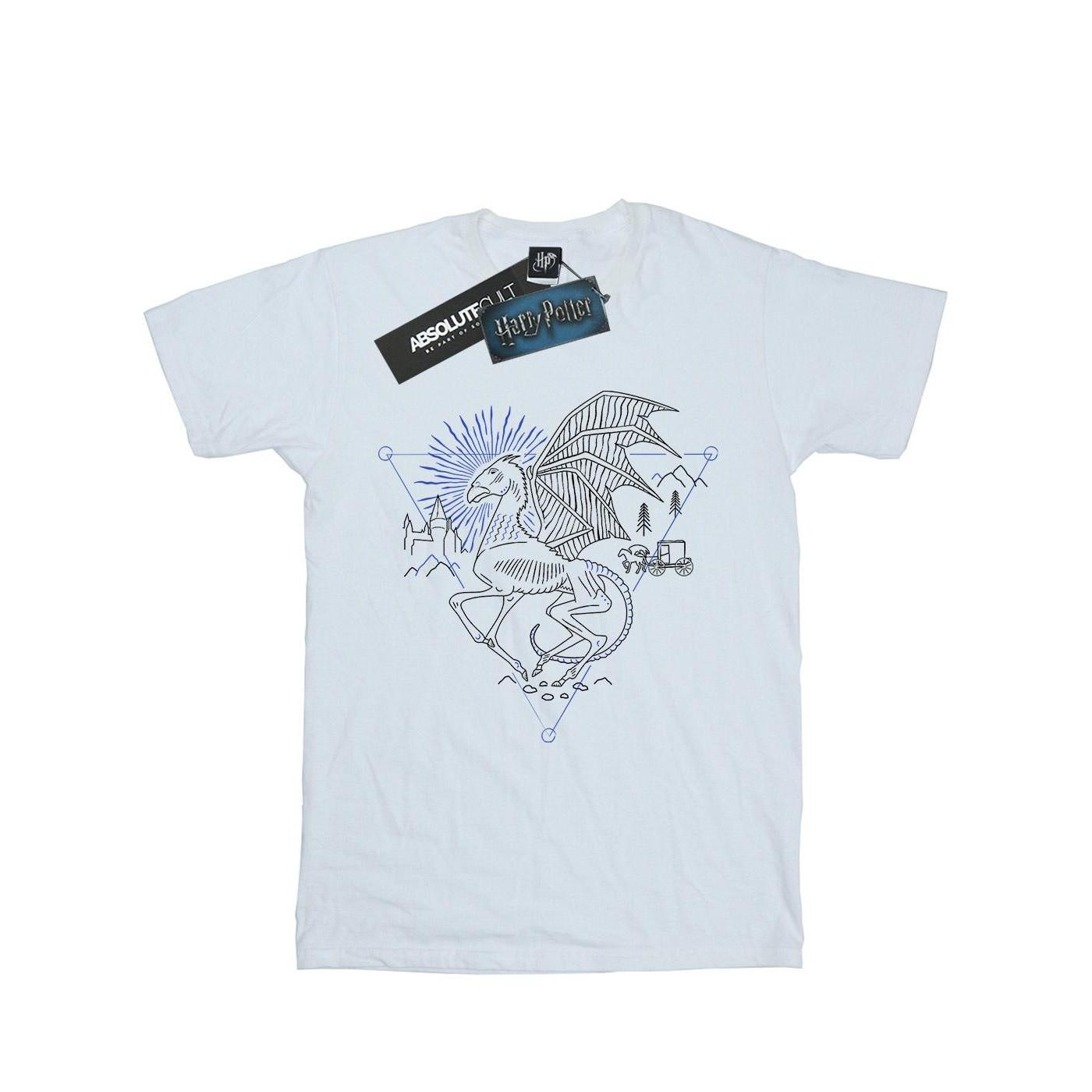 Harry Potter Thestral Sketch T-Shirt  