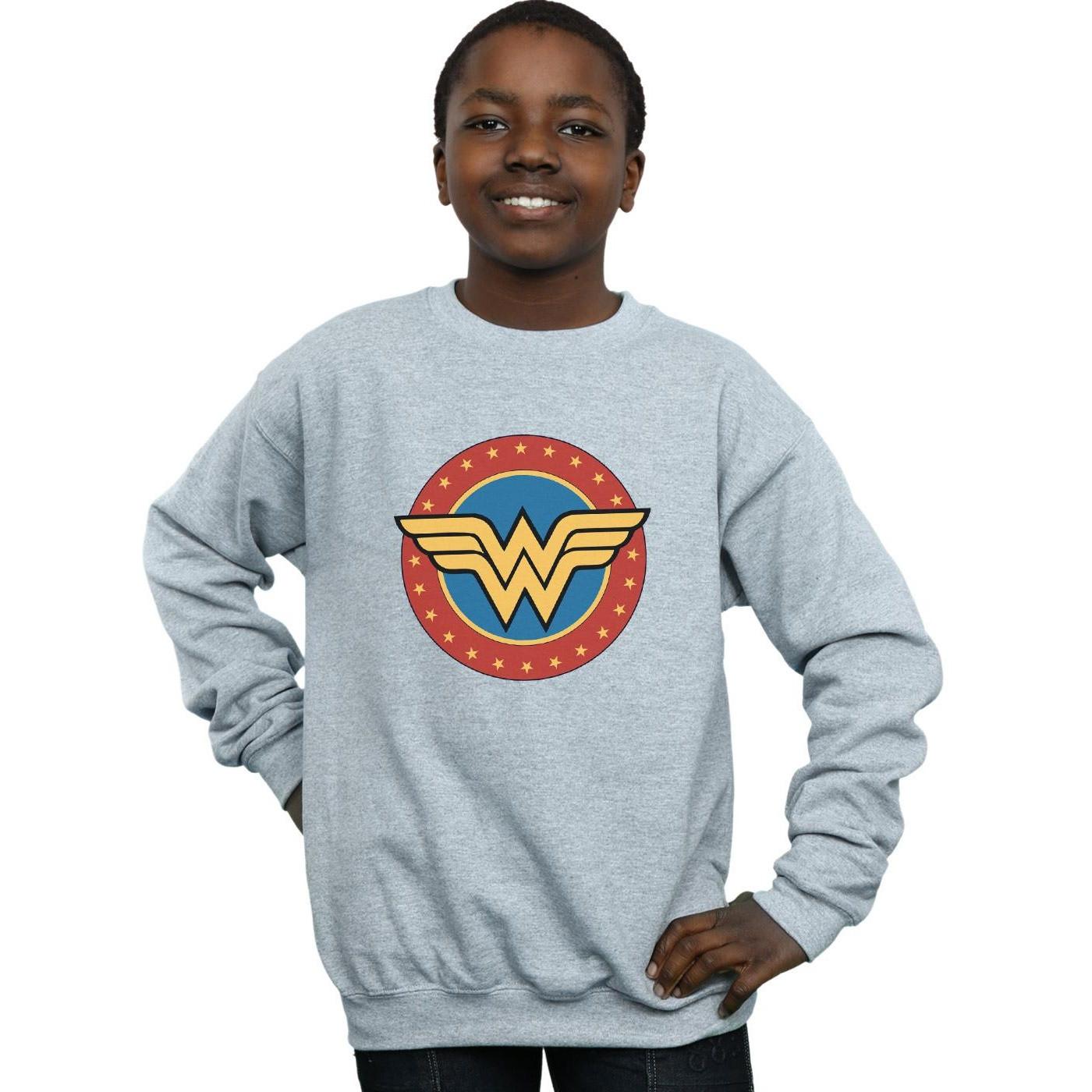 DC COMICS  Sweatshirt 