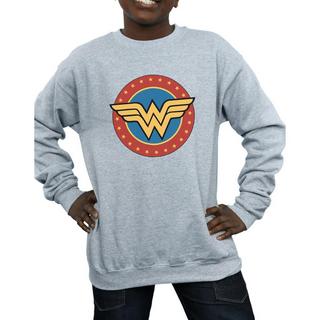 DC COMICS  Sweatshirt 