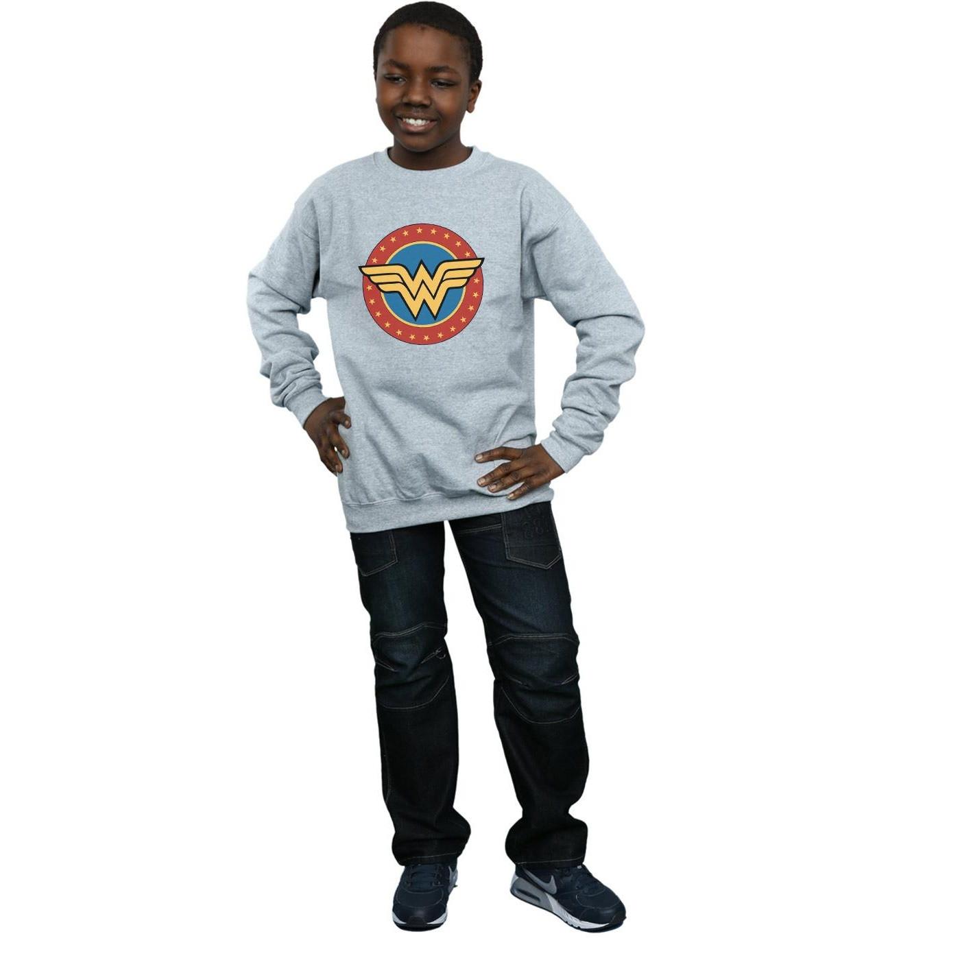 DC COMICS  Sweatshirt 