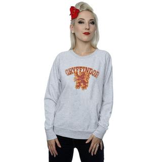 Harry Potter  Gryffindor Sweatshirt 