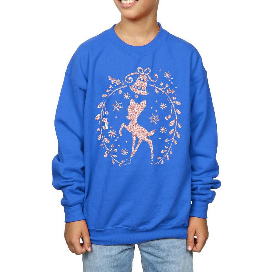 Disney  Sweatshirt 
