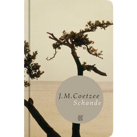 Schande Coetzee, J.M.; Böhnke, Reinhild (Übersetzung) Gebundene Ausgabe 