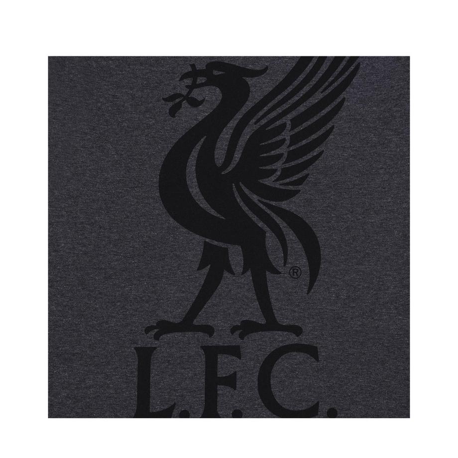 Liverpool F.C.  Completo Pigiama Corto 