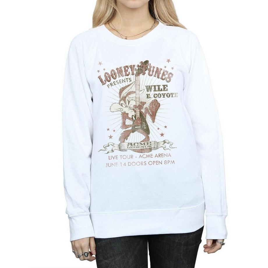 LOONEY TUNES Wile E Coyote Grafikdruck Sweatshirt  
