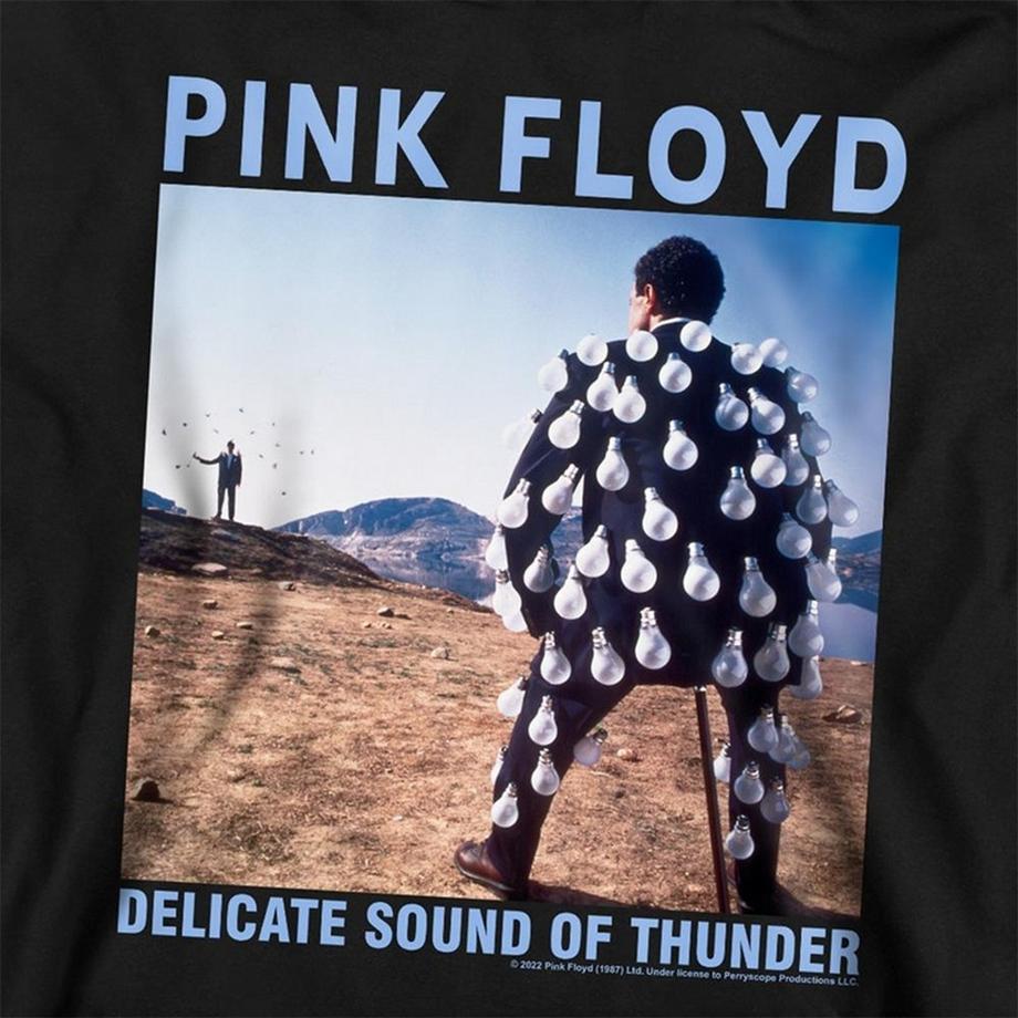 Pink Floyd  Sweat À Capuche Delicate Sound Of Thunder 