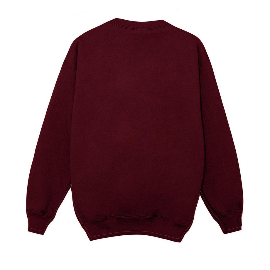 Disney  Frozen Sweatshirt 