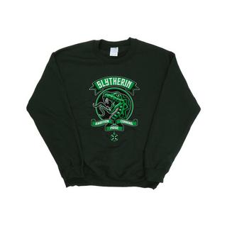 Harry Potter  Slytherin Sweatshirt 