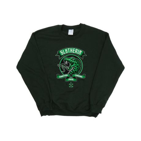 Harry Potter  Slytherin Sweatshirt 