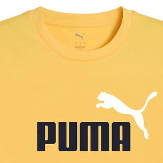 PUMA T-shirt Coupe Confortable Pack de 1  