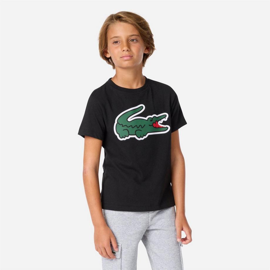 LACOSTE  Maglietta Grande Logo Misto Cotone 