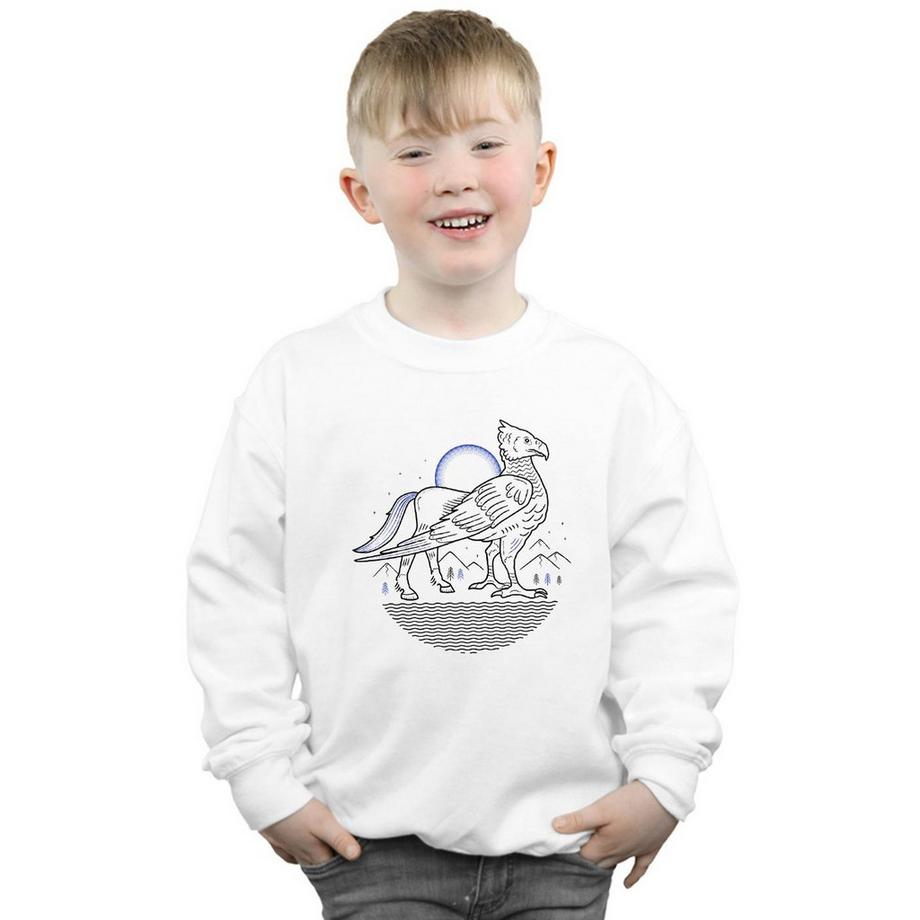 HARRY-POTTER  Sweatshirt 