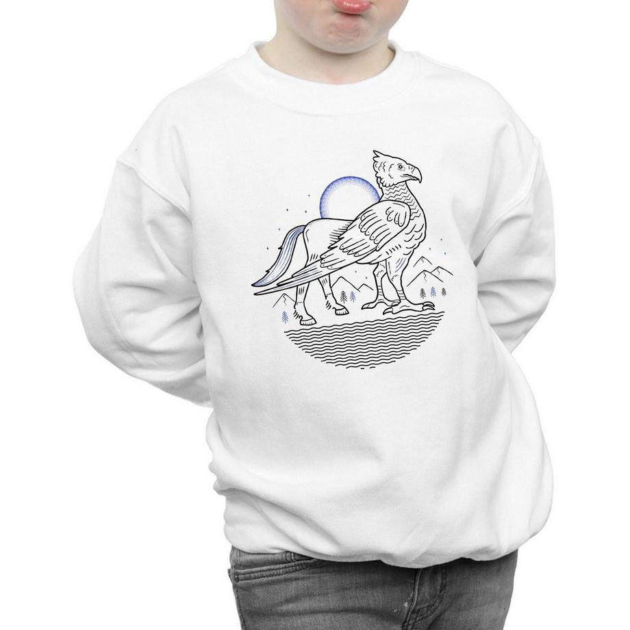 HARRY-POTTER  Sweatshirt 