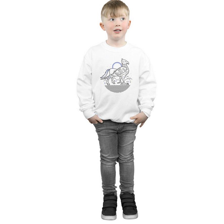 HARRY-POTTER  Sweatshirt 