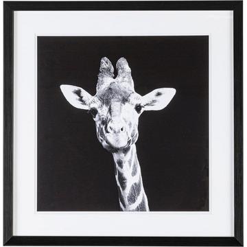 Tableau Preuve Girafe 49x49