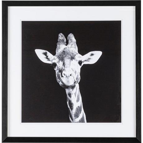 mutoni Tableau Preuve Girafe 49x49  
